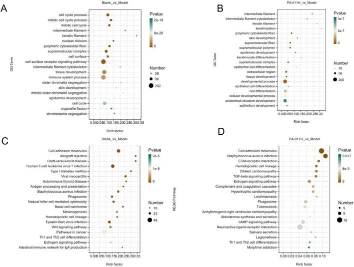 https://cdn.ncbi.nlm.nih.gov/pmc/blobs/8837/12365694/1f3920949bec/fphar-16-1590648-g008.jpg
