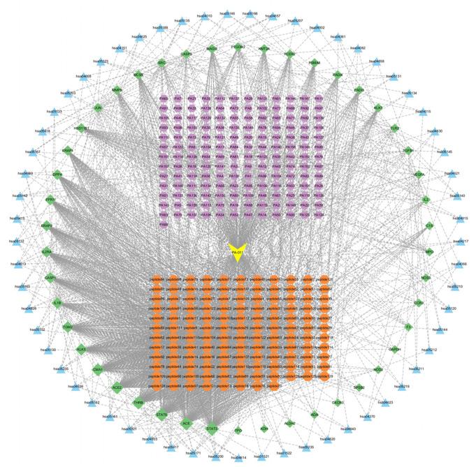 https://cdn.ncbi.nlm.nih.gov/pmc/blobs/8837/12365694/2ee7a33d9fa5/fphar-16-1590648-g002.jpg