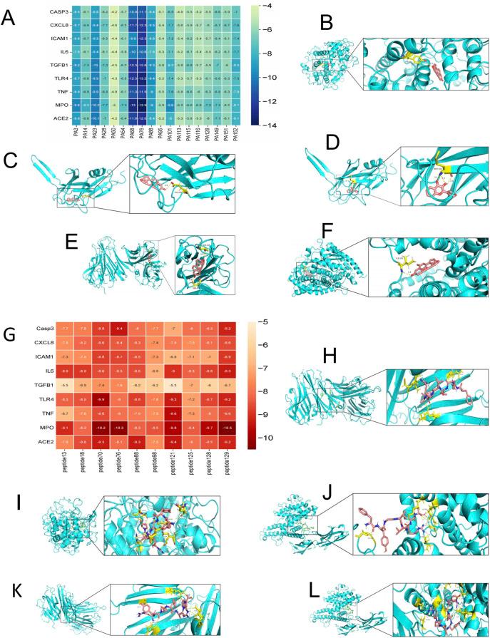 https://cdn.ncbi.nlm.nih.gov/pmc/blobs/8837/12365694/b9fe535c68f7/fphar-16-1590648-g003.jpg