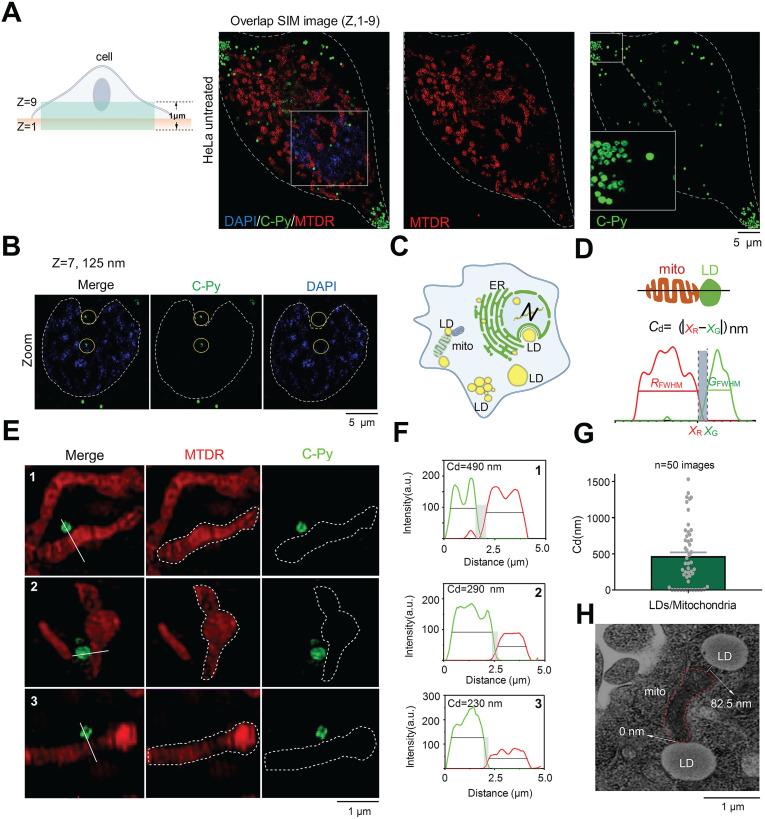https://cdn.ncbi.nlm.nih.gov/pmc/blobs/8838/8315056/2688bc678e77/thnov11p7767g004.jpg