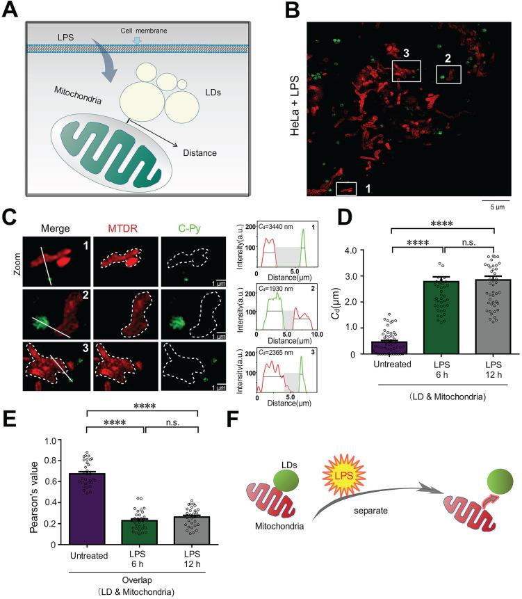 https://cdn.ncbi.nlm.nih.gov/pmc/blobs/8838/8315056/5e545dab7414/thnov11p7767g005.jpg