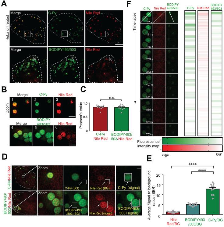 https://cdn.ncbi.nlm.nih.gov/pmc/blobs/8838/8315056/8a1213548f28/thnov11p7767g003.jpg