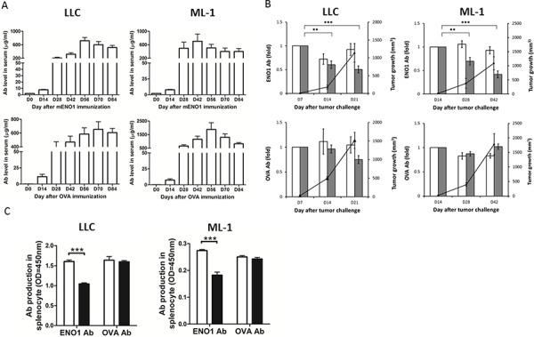 https://cdn.ncbi.nlm.nih.gov/pmc/blobs/883a/4741510/52948877aba4/oncotarget-06-35073-g004.jpg