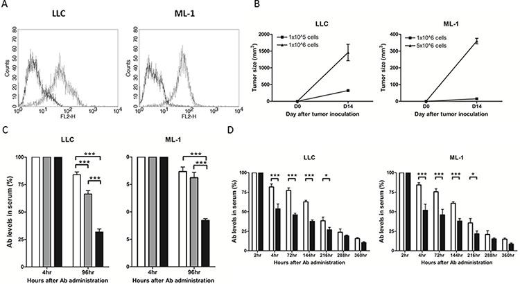 https://cdn.ncbi.nlm.nih.gov/pmc/blobs/883a/4741510/5dd278a31144/oncotarget-06-35073-g003.jpg