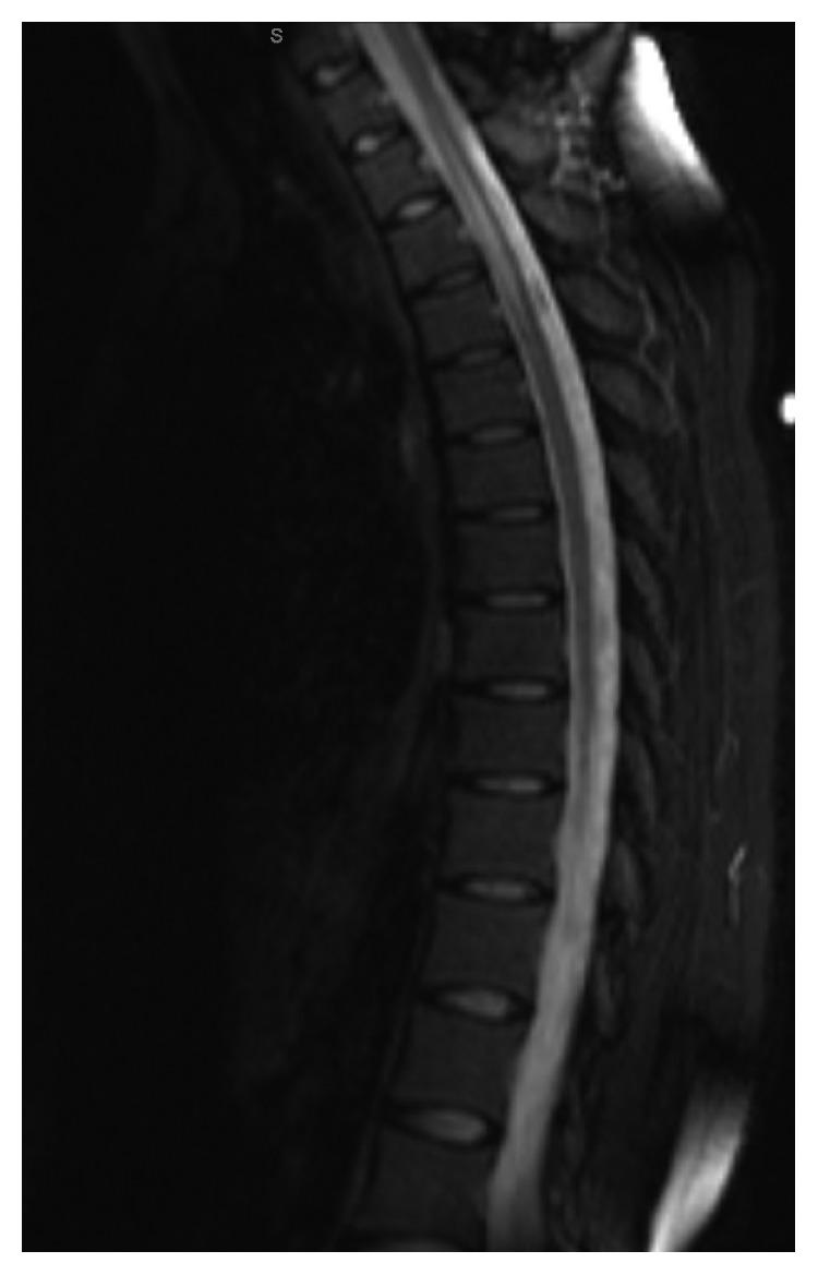 https://cdn.ncbi.nlm.nih.gov/pmc/blobs/883b/6791247/be662627418e/CRIRH2019-7623643.003.jpg