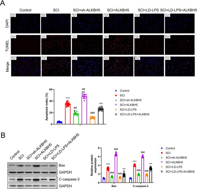 https://cdn.ncbi.nlm.nih.gov/pmc/blobs/883c/12145315/06becf99d784/11064_2025_4442_Fig11_HTML.jpg