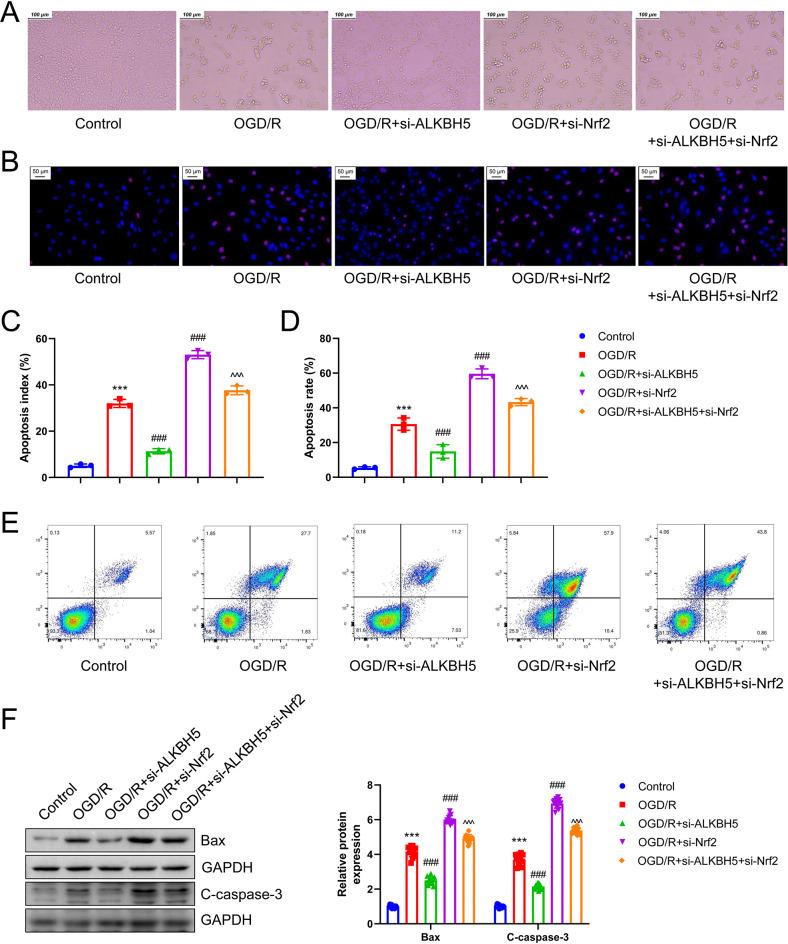 https://cdn.ncbi.nlm.nih.gov/pmc/blobs/883c/12145315/0d1fae89c448/11064_2025_4442_Fig9_HTML.jpg