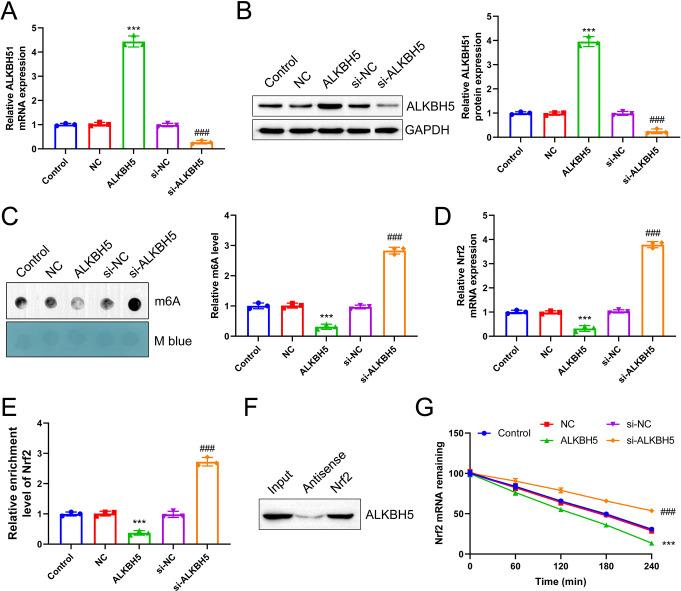 https://cdn.ncbi.nlm.nih.gov/pmc/blobs/883c/12145315/1c358536c600/11064_2025_4442_Fig7_HTML.jpg