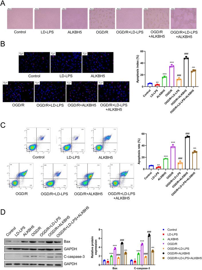 https://cdn.ncbi.nlm.nih.gov/pmc/blobs/883c/12145315/2c9c6ddaa65f/11064_2025_4442_Fig5_HTML.jpg