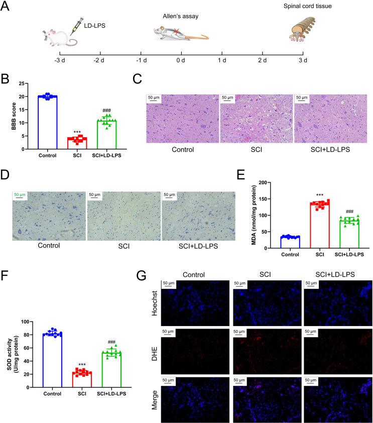 https://cdn.ncbi.nlm.nih.gov/pmc/blobs/883c/12145315/5c0974d340db/11064_2025_4442_Fig1_HTML.jpg