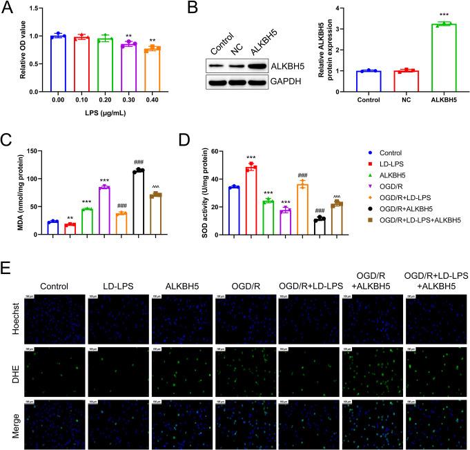 https://cdn.ncbi.nlm.nih.gov/pmc/blobs/883c/12145315/78323c7775dc/11064_2025_4442_Fig4_HTML.jpg