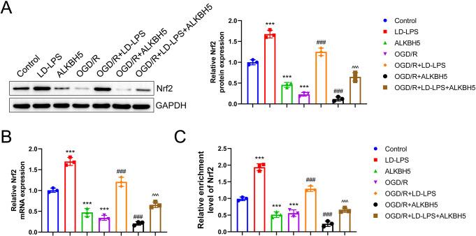 https://cdn.ncbi.nlm.nih.gov/pmc/blobs/883c/12145315/861fe5b3fb72/11064_2025_4442_Fig6_HTML.jpg