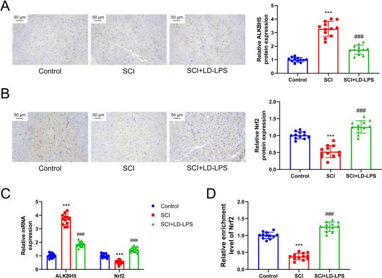 https://cdn.ncbi.nlm.nih.gov/pmc/blobs/883c/12145315/9290fff9c053/11064_2025_4442_Fig3_HTML.jpg