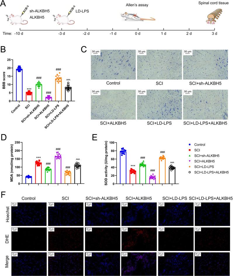 https://cdn.ncbi.nlm.nih.gov/pmc/blobs/883c/12145315/a67722ad8c19/11064_2025_4442_Fig10_HTML.jpg