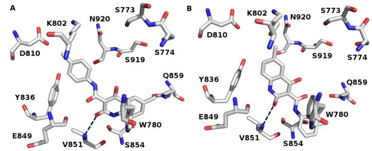 https://cdn.ncbi.nlm.nih.gov/pmc/blobs/883c/7698136/87d6b3ae5968/molecules-25-05348-g005.jpg