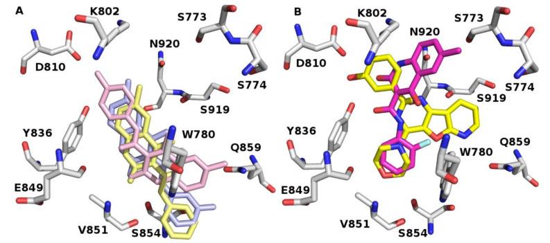 https://cdn.ncbi.nlm.nih.gov/pmc/blobs/883c/7698136/8f0d6c238615/molecules-25-05348-g004.jpg