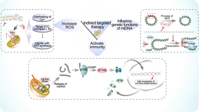 https://cdn.ncbi.nlm.nih.gov/pmc/blobs/883d/10404627/02570ec64798/gr3.jpg