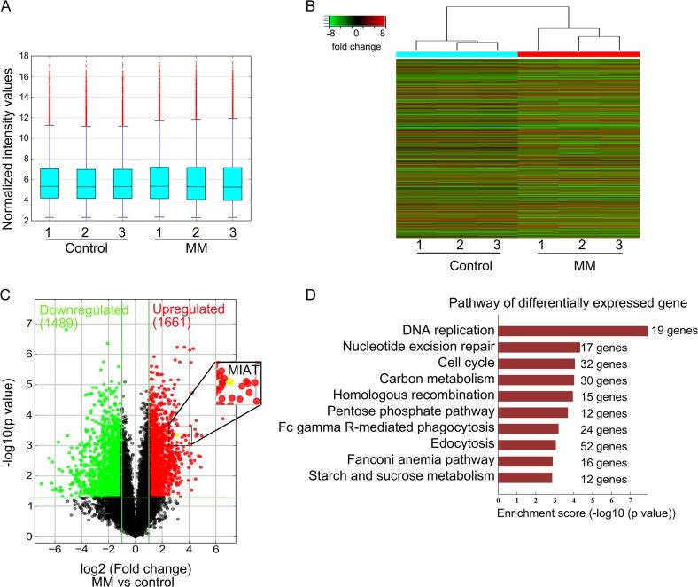 https://cdn.ncbi.nlm.nih.gov/pmc/blobs/883d/6456577/588dd831485b/41419_2019_1551_Fig1_HTML.jpg