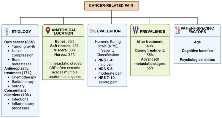 https://cdn.ncbi.nlm.nih.gov/pmc/blobs/883f/12347026/b1a852122857/ijms-26-07459-g001.jpg