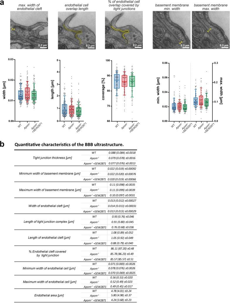 https://cdn.ncbi.nlm.nih.gov/pmc/blobs/8840/6877292/dea60eec4afe/elife-49405-fig2-figsupp1.jpg