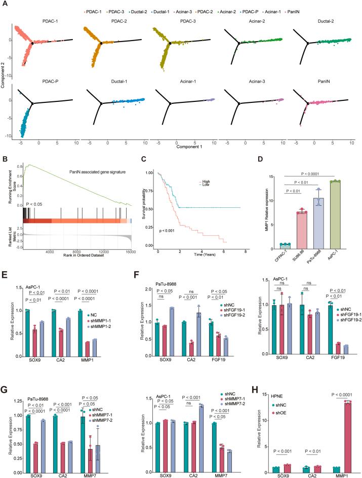 https://cdn.ncbi.nlm.nih.gov/pmc/blobs/8845/11907457/48e8b204b822/figs2.jpg