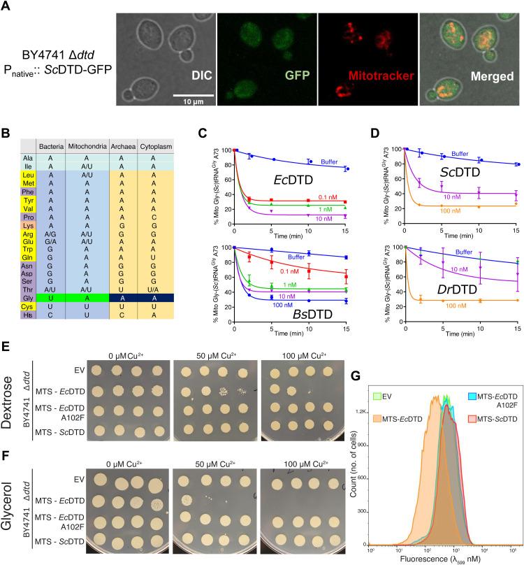 https://cdn.ncbi.nlm.nih.gov/pmc/blobs/8845/8754408/f1359096ebb2/sciadv.abj7307-f3.jpg