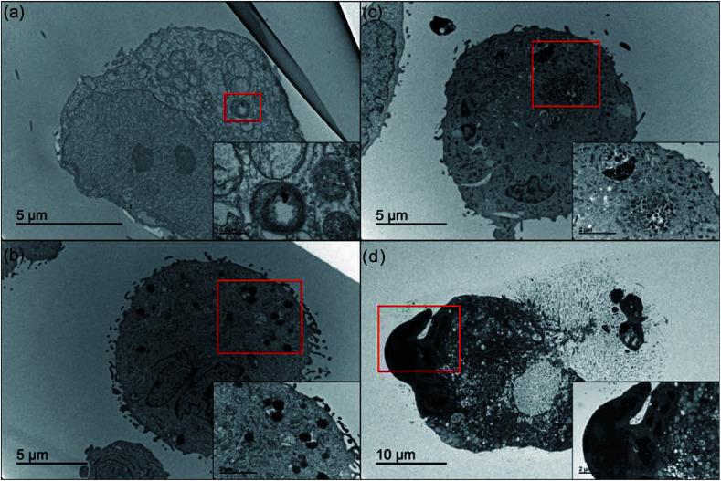 https://cdn.ncbi.nlm.nih.gov/pmc/blobs/8849/9085727/9d264dc52665/c8ra05484c-f7.jpg
