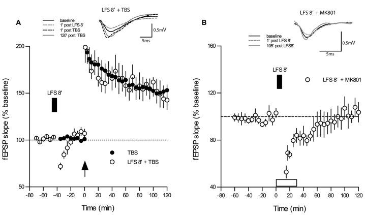 https://cdn.ncbi.nlm.nih.gov/pmc/blobs/884a/5098392/00c92bbf0c50/fncel-10-00252-g0003.jpg