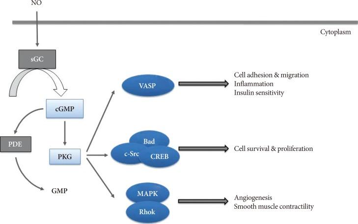 https://cdn.ncbi.nlm.nih.gov/pmc/blobs/884a/5409001/66066a4d6ee4/dmj-41-89-g001.jpg