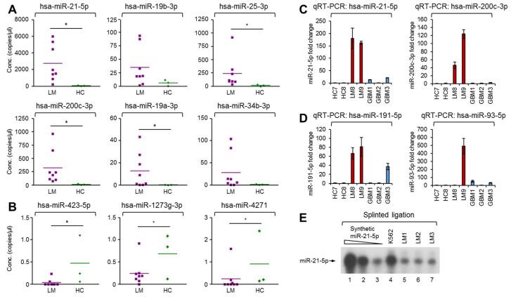 https://cdn.ncbi.nlm.nih.gov/pmc/blobs/884c/7828086/c3a3732bcc13/cancers-13-00209-g004.jpg