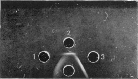 https://cdn.ncbi.nlm.nih.gov/pmc/blobs/884f/1422841/7751b819590b/immunology00330-0091-a.jpg