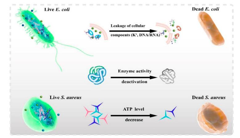 https://cdn.ncbi.nlm.nih.gov/pmc/blobs/884f/8271463/4bab73bfd58d/polymers-13-02100-g001.jpg