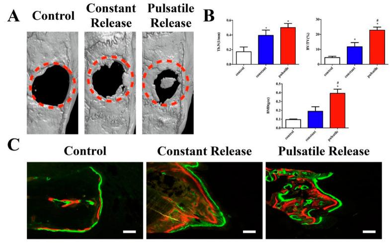 https://cdn.ncbi.nlm.nih.gov/pmc/blobs/884f/8271463/80efeceeac61/polymers-13-02100-g007.jpg