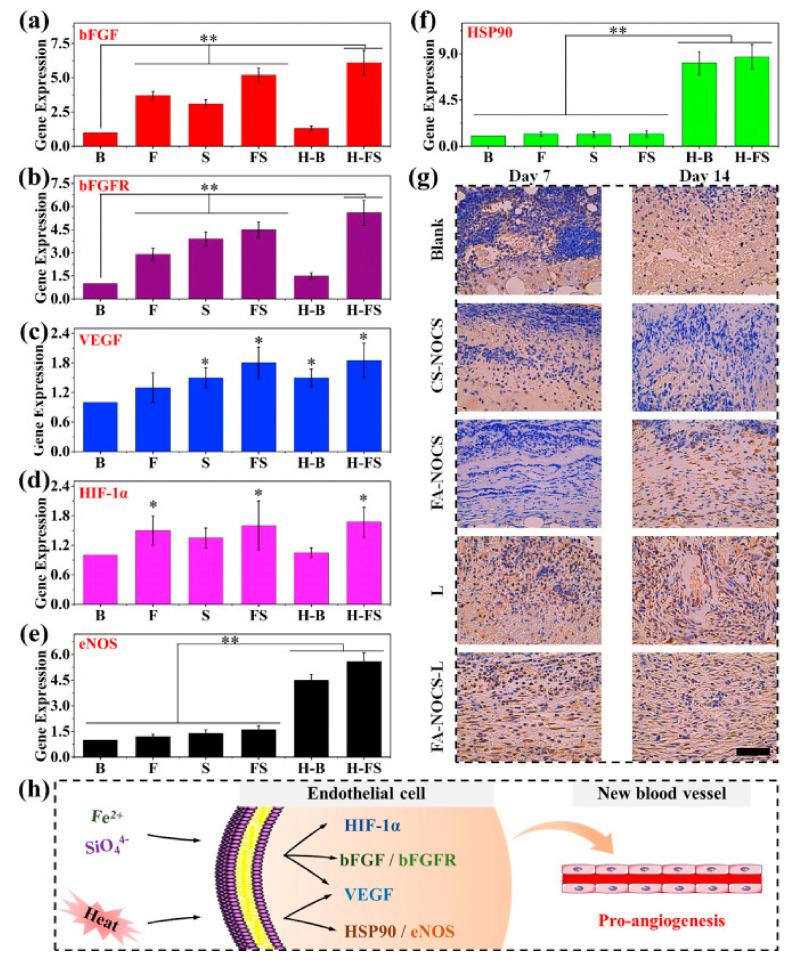 https://cdn.ncbi.nlm.nih.gov/pmc/blobs/884f/8271463/a1b9d771ad43/polymers-13-02100-g003.jpg