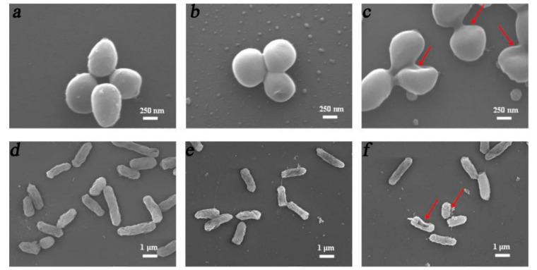 https://cdn.ncbi.nlm.nih.gov/pmc/blobs/884f/8271463/dd064acfd6c5/polymers-13-02100-g002.jpg