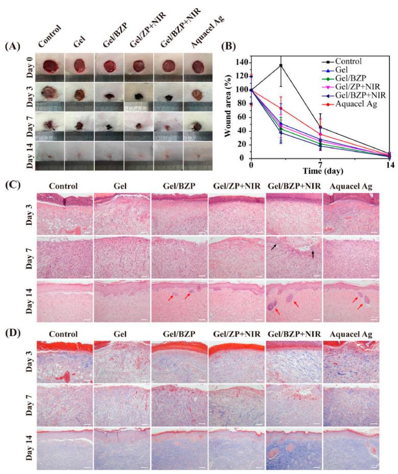 https://cdn.ncbi.nlm.nih.gov/pmc/blobs/884f/8271463/e97fd616dd97/polymers-13-02100-g006.jpg