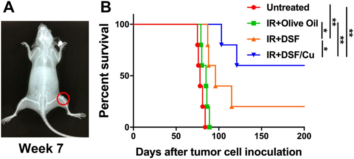 https://cdn.ncbi.nlm.nih.gov/pmc/blobs/8851/8969896/00df0da1977f/nihms-1789853-f0008.jpg