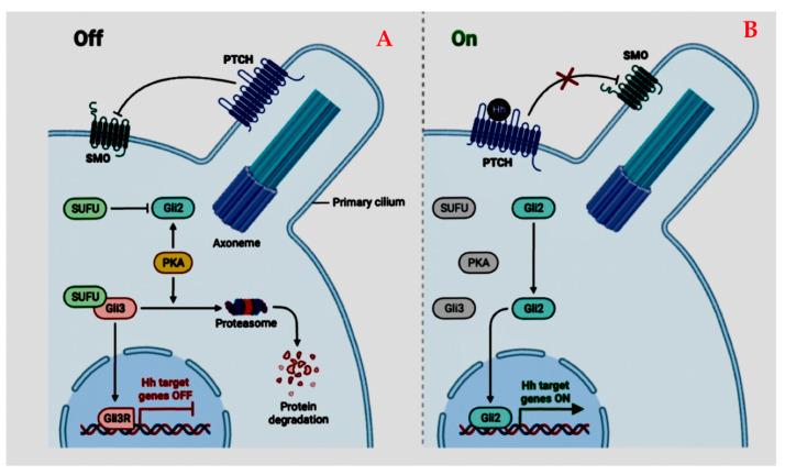 https://cdn.ncbi.nlm.nih.gov/pmc/blobs/8852/12071314/75708cfbb9bd/cancers-17-01566-g016.jpg