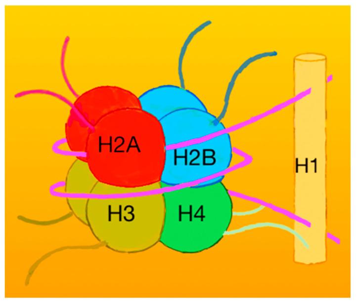 https://cdn.ncbi.nlm.nih.gov/pmc/blobs/8852/12071314/ad8b1c014482/cancers-17-01566-g007.jpg