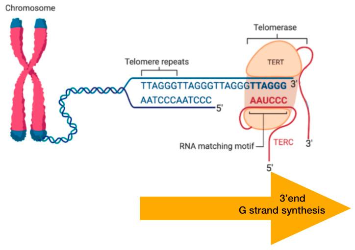 https://cdn.ncbi.nlm.nih.gov/pmc/blobs/8852/12071314/e1efee22fe7b/cancers-17-01566-g010.jpg