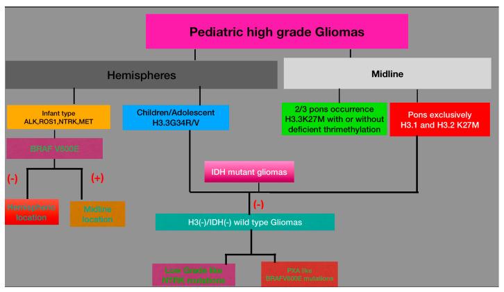 https://cdn.ncbi.nlm.nih.gov/pmc/blobs/8852/12071314/ef71c7ffa4e3/cancers-17-01566-g006.jpg