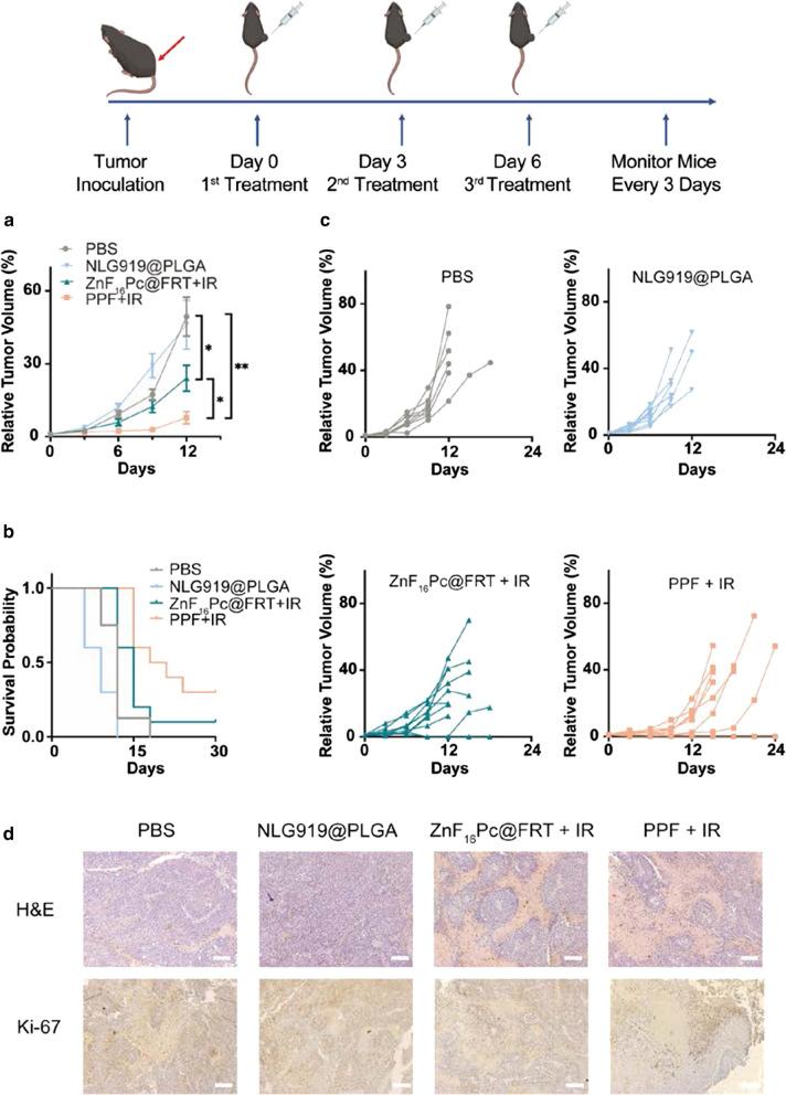 https://cdn.ncbi.nlm.nih.gov/pmc/blobs/8855/8201842/bc6e3c920087/12951_2021_919_Fig3_HTML.jpg