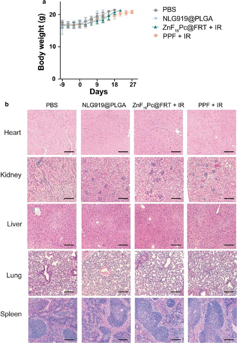 https://cdn.ncbi.nlm.nih.gov/pmc/blobs/8855/8201842/f8045a946bc2/12951_2021_919_Fig5_HTML.jpg