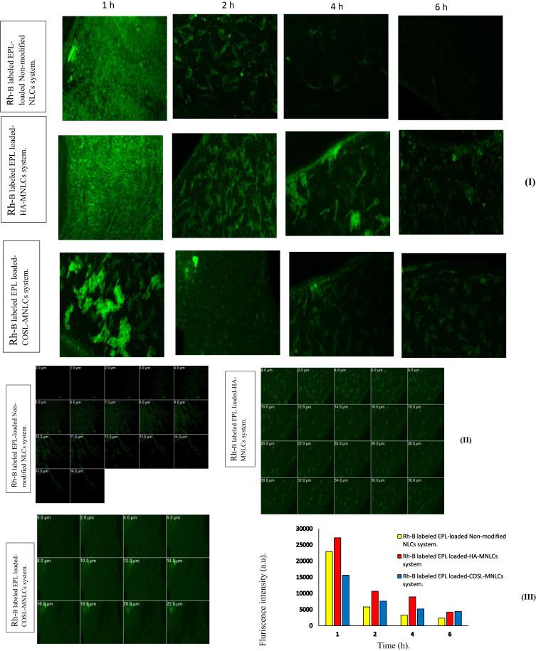 https://cdn.ncbi.nlm.nih.gov/pmc/blobs/8855/8318821/c8f7cc7efdab/IJN-16-4985-g0008.jpg