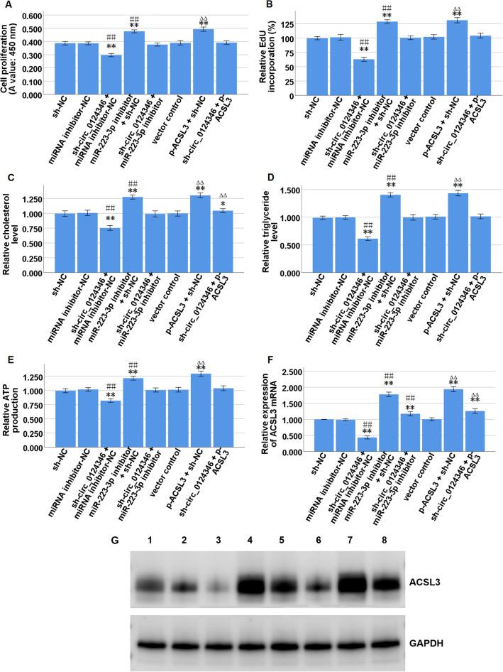 https://cdn.ncbi.nlm.nih.gov/pmc/blobs/8856/11574224/66f7091ac6ff/12672_2024_1550_Fig6_HTML.jpg