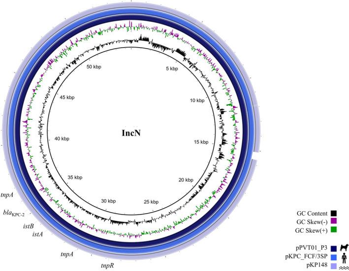 https://cdn.ncbi.nlm.nih.gov/pmc/blobs/8857/9290030/37df232794e5/TBED-68-3083-g001.jpg