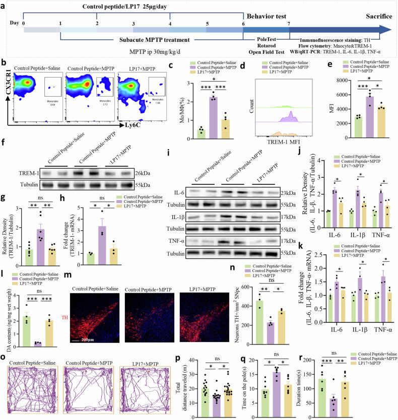 https://cdn.ncbi.nlm.nih.gov/pmc/blobs/885b/11733277/ede8b58d1b83/41419_2025_7333_Fig6_HTML.jpg