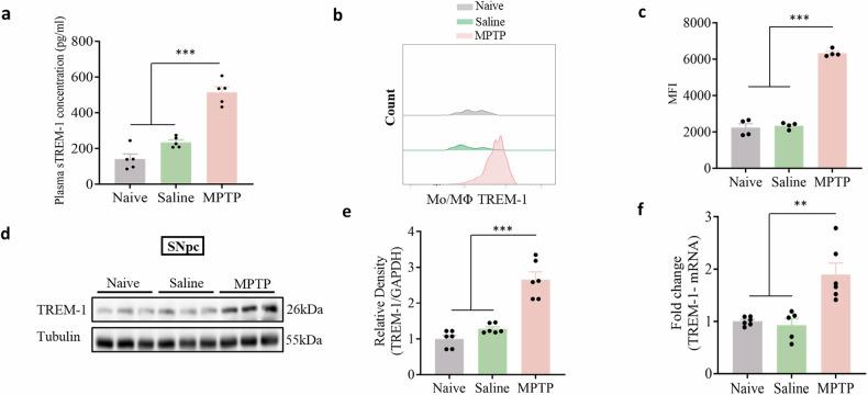 https://cdn.ncbi.nlm.nih.gov/pmc/blobs/885b/11733277/f6dc48aac93f/41419_2025_7333_Fig3_HTML.jpg
