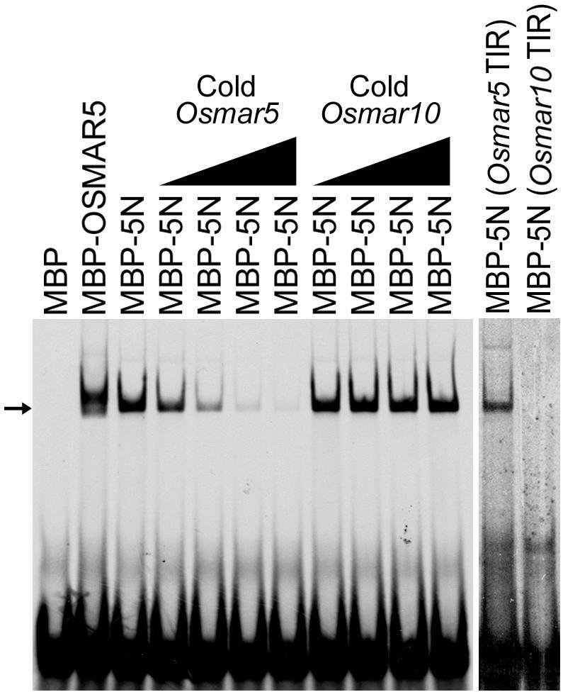 https://cdn.ncbi.nlm.nih.gov/pmc/blobs/885c/1079968/c60468bfb597/gki509f6.jpg