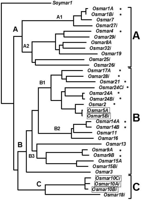 https://cdn.ncbi.nlm.nih.gov/pmc/blobs/885c/1079968/e9924ef5b228/gki509f1.jpg